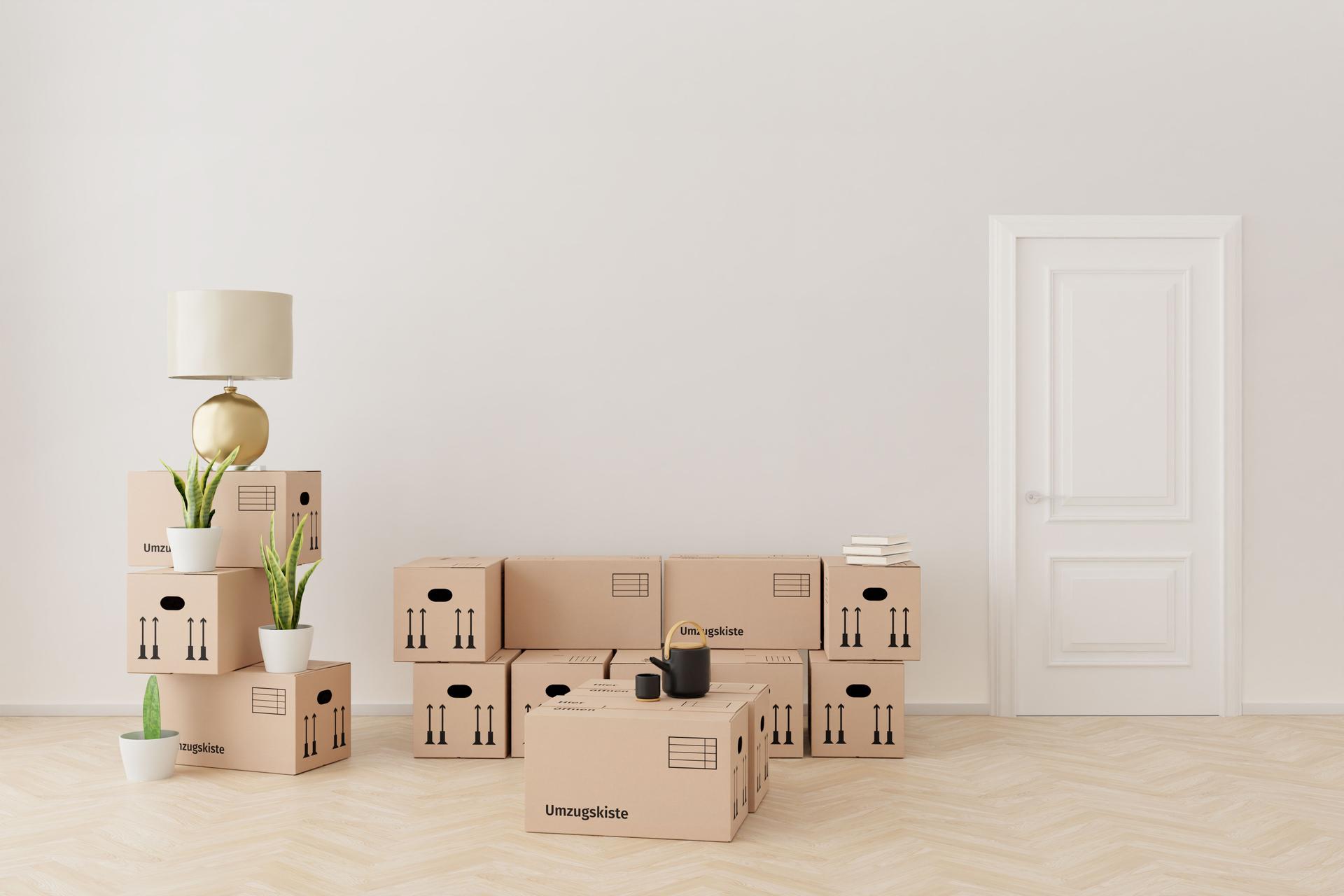 Apartment mit Sofa und Couchtisch, bestehend aus Umzugskartons. Konzept für Umzug, Probleme rund um den Umzug, fehlende Teile, Zwischenlösung. Deutsches Wort "Umzugskiste" auf den Umzugskartons.